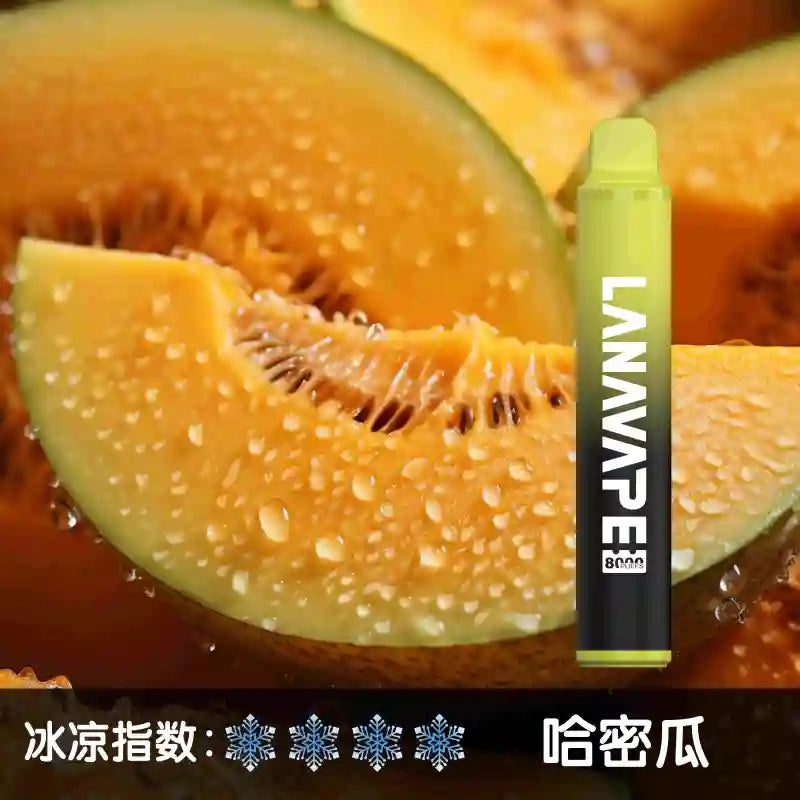 LANA 一次性主機 8000口(30)