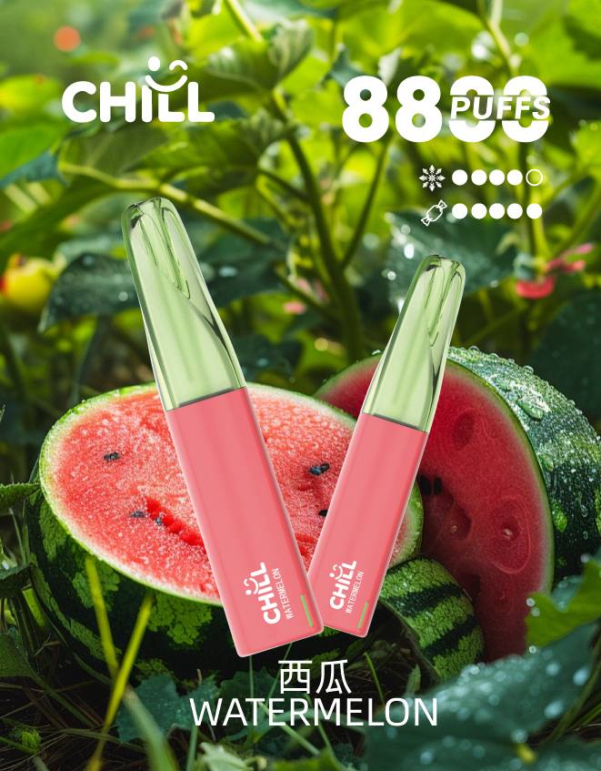 Chill 一次性主機 8800口 (30)
