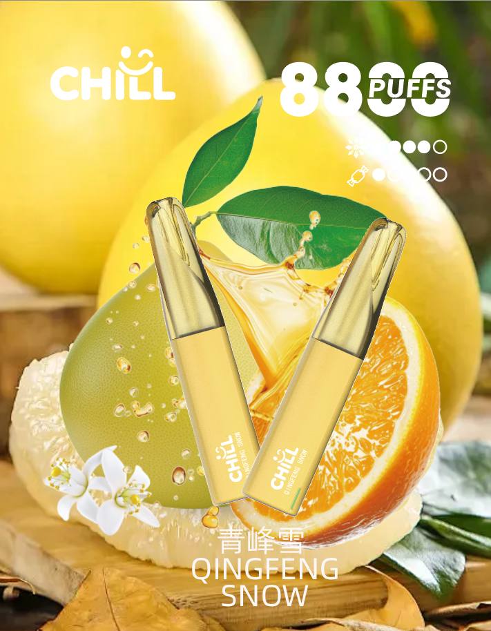 Chill 一次性主機 8800口 (30)